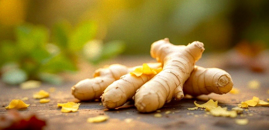 ginger allergies supplementation