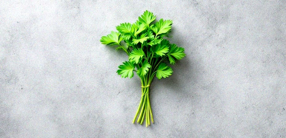 parsley health supplementation