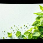 lemon balm side effects supplementation 1